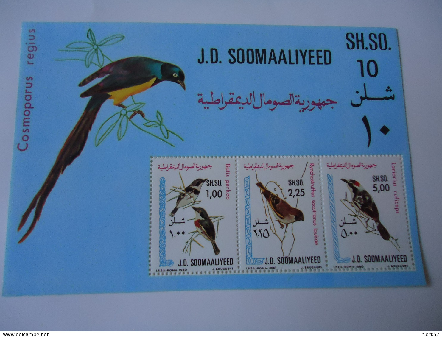 SOMALIA  SOMALI  MINT**  STAMPS BIRD BIRDS SHEET - Autres & Non Classés