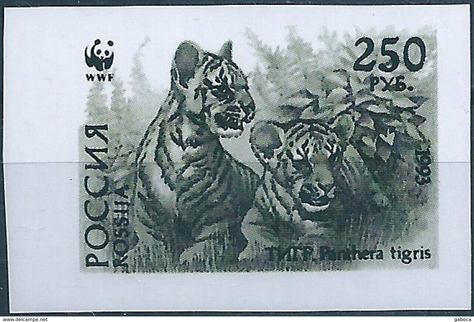 B3789 Russia Rossija Fauna Animal Tiger (250 Rubel) Organization Colour Proof - Variétés & Curiosités