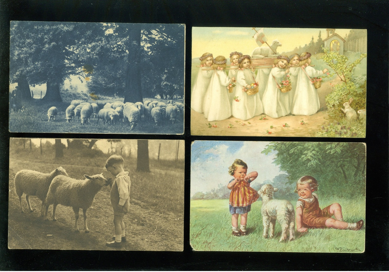 Beau Lot De 60 Cartes Postales De Fantaisie Mouton Agneau Berger  Mooi Lot 60 Postkaarten Van Fantasie Schaap - 60 Scans - 5 - 99 Cartes