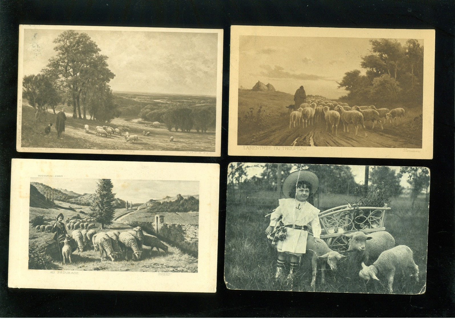 Beau lot de 60 cartes postales de fantaisie mouton agneau berger  Mooi lot 60 postkaarten van fantasie schaap - 60 scans