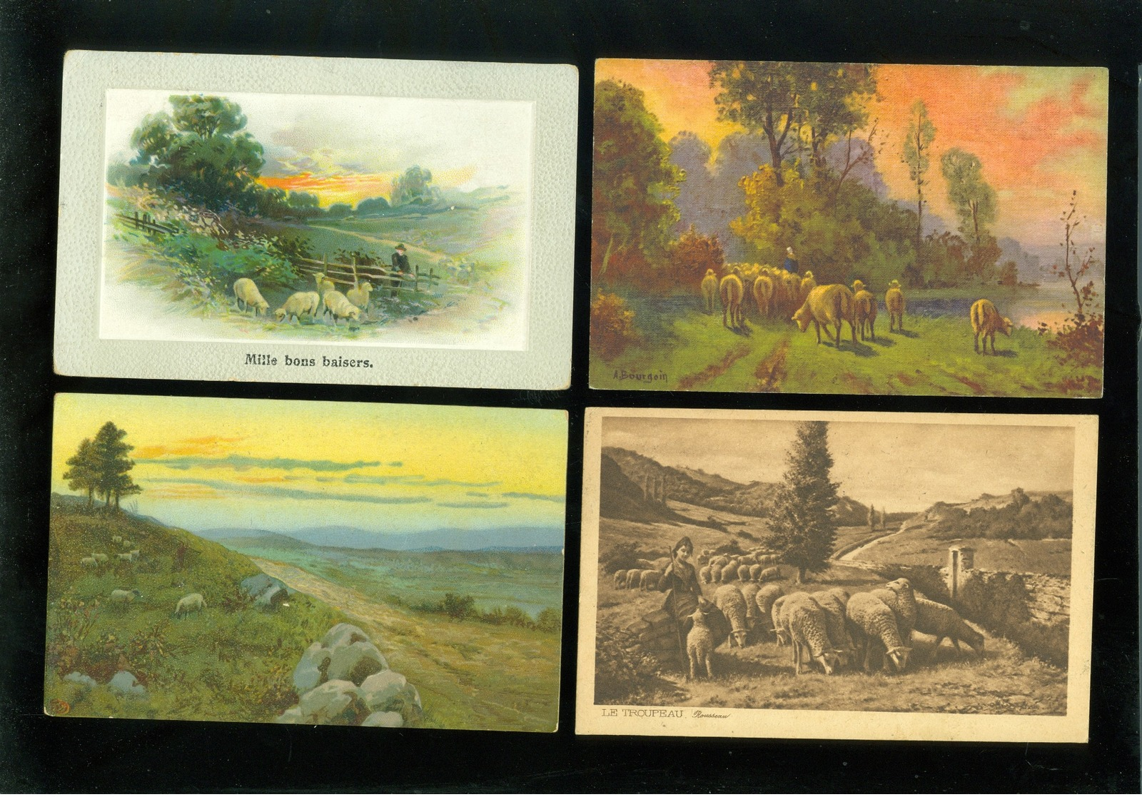 Beau lot de 60 cartes postales de fantaisie mouton agneau berger  Mooi lot 60 postkaarten van fantasie schaap - 60 scans