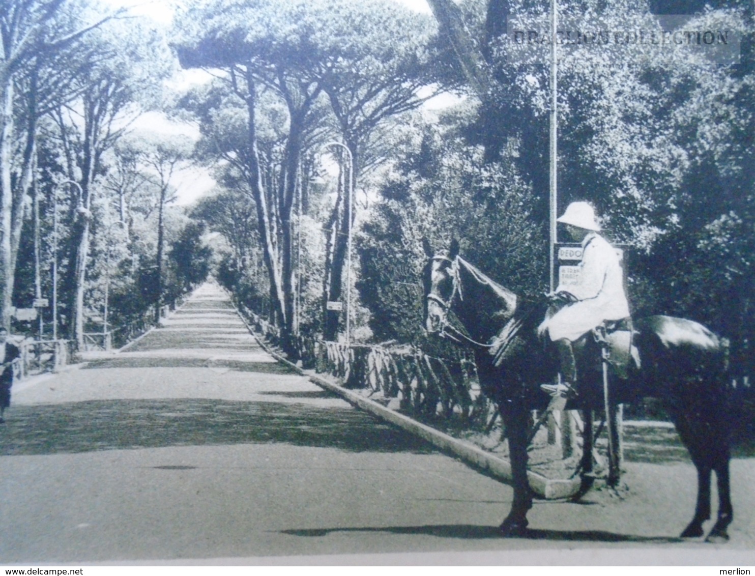 D161415   Italia  -   ROMA -  Lido Di Roma - Viale  Castel Fusano -  Animata Ca 1930's - Altri & Non Classificati