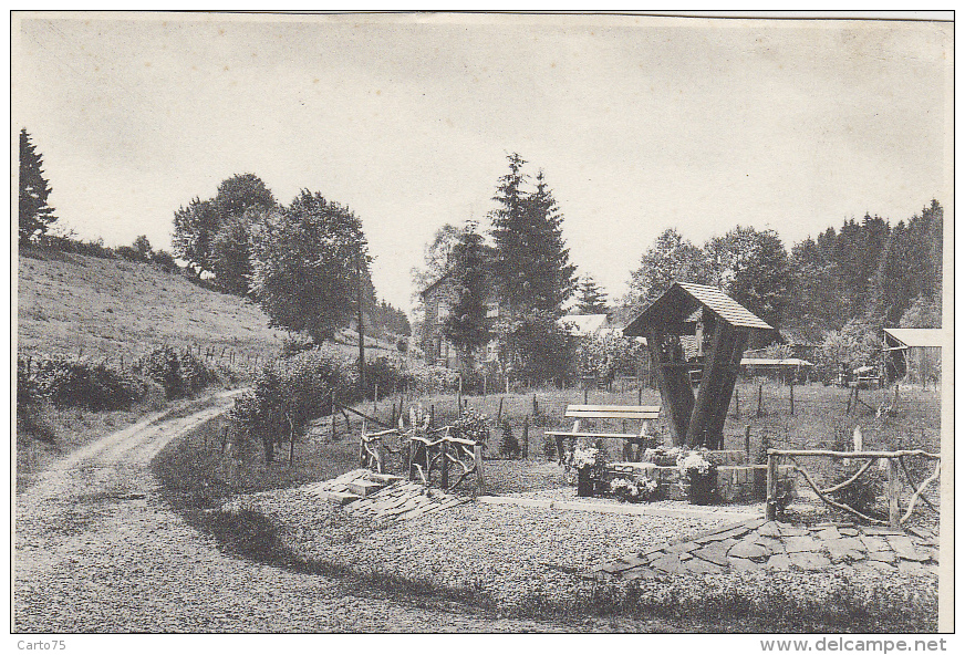 Belgique - Lavacherie Sur Ourthe - Potale - N. D. De Banneux - Sainte-Ode