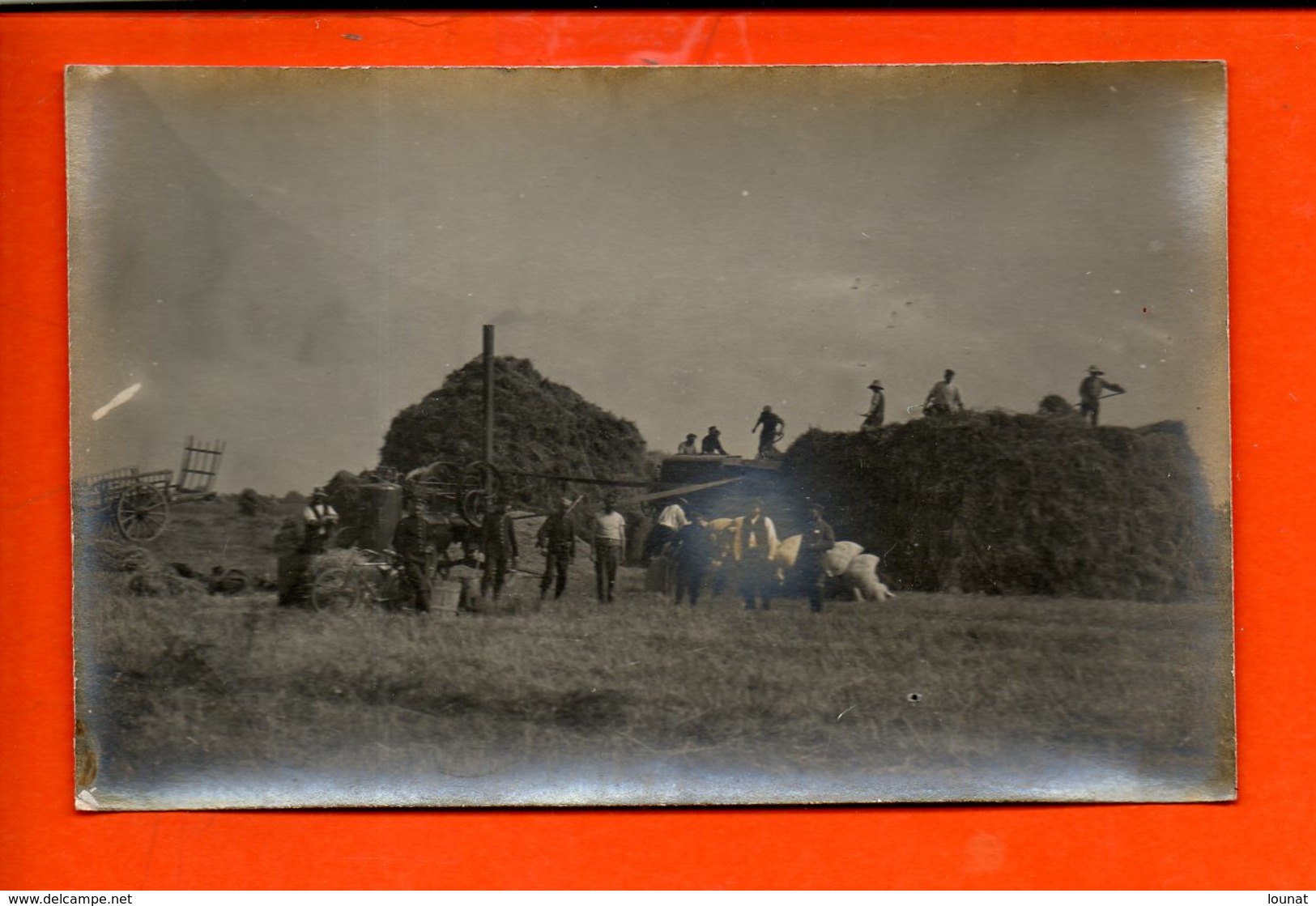 Agriculuture - Foins - Carte R. Guilleminot & B. Boespfing & Cie - Cultivation