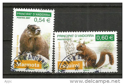 La Marmotte & L'écureil Roux.  Deux Timbres Oblitérés  1 ère Qualité - Oblitérés