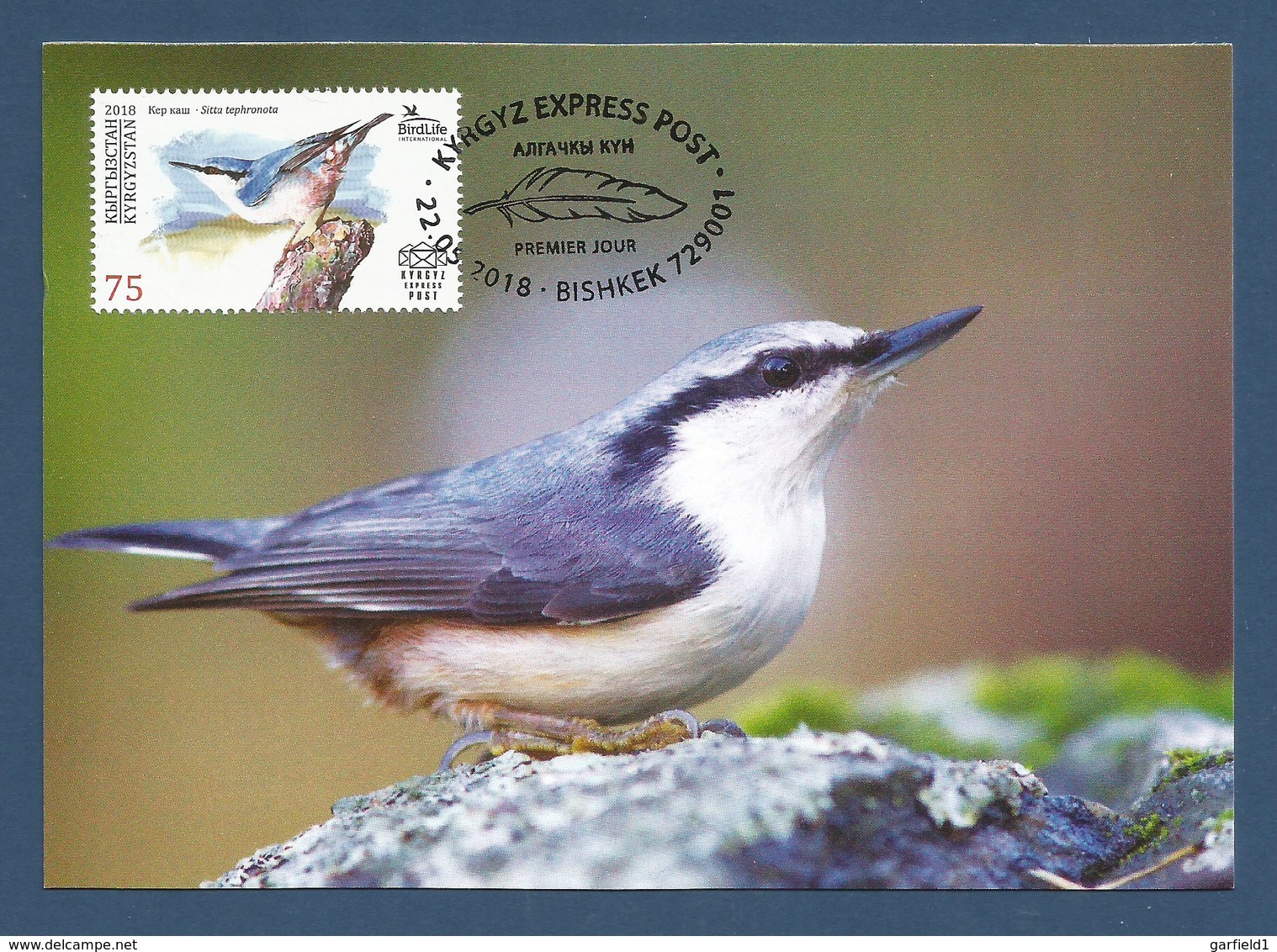 Kirgisistan 2018  , The Easern Rock Nuthatch  - Maxi Card - Premier Jour 22.05.2018 - Kirgisistan