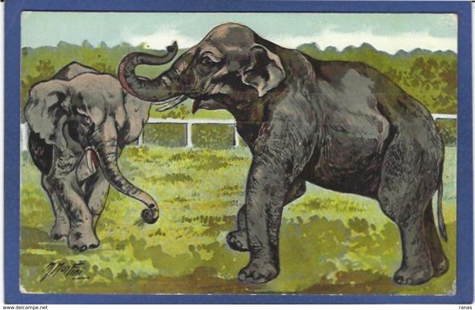 CPA éléphant Non Circulé - Éléphants