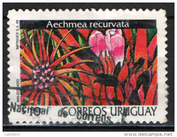 URUGUAY - 1999 - AECHMEA RECURVATA - USATO - Uruguay