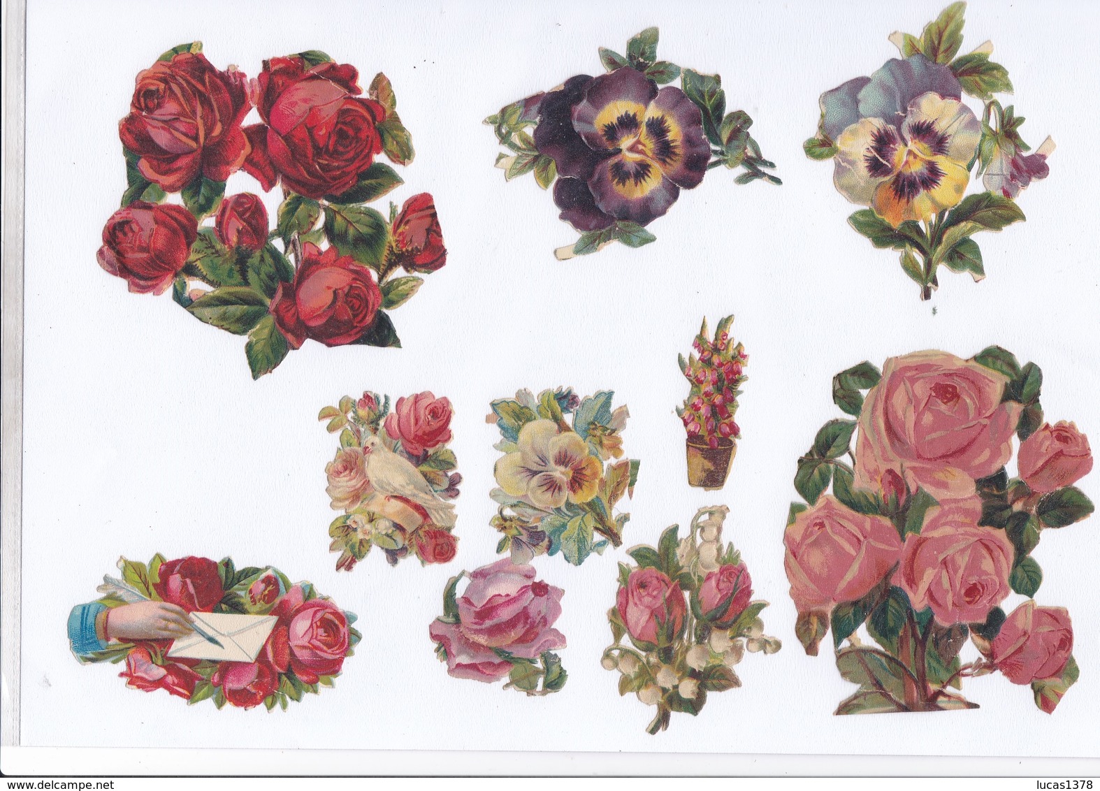 TRES BEL ENSEMBLE DE PLUS DE 50 DECOUPIS FLEURS DONT UN GRAND 23X17 / A VOIR - Flowers