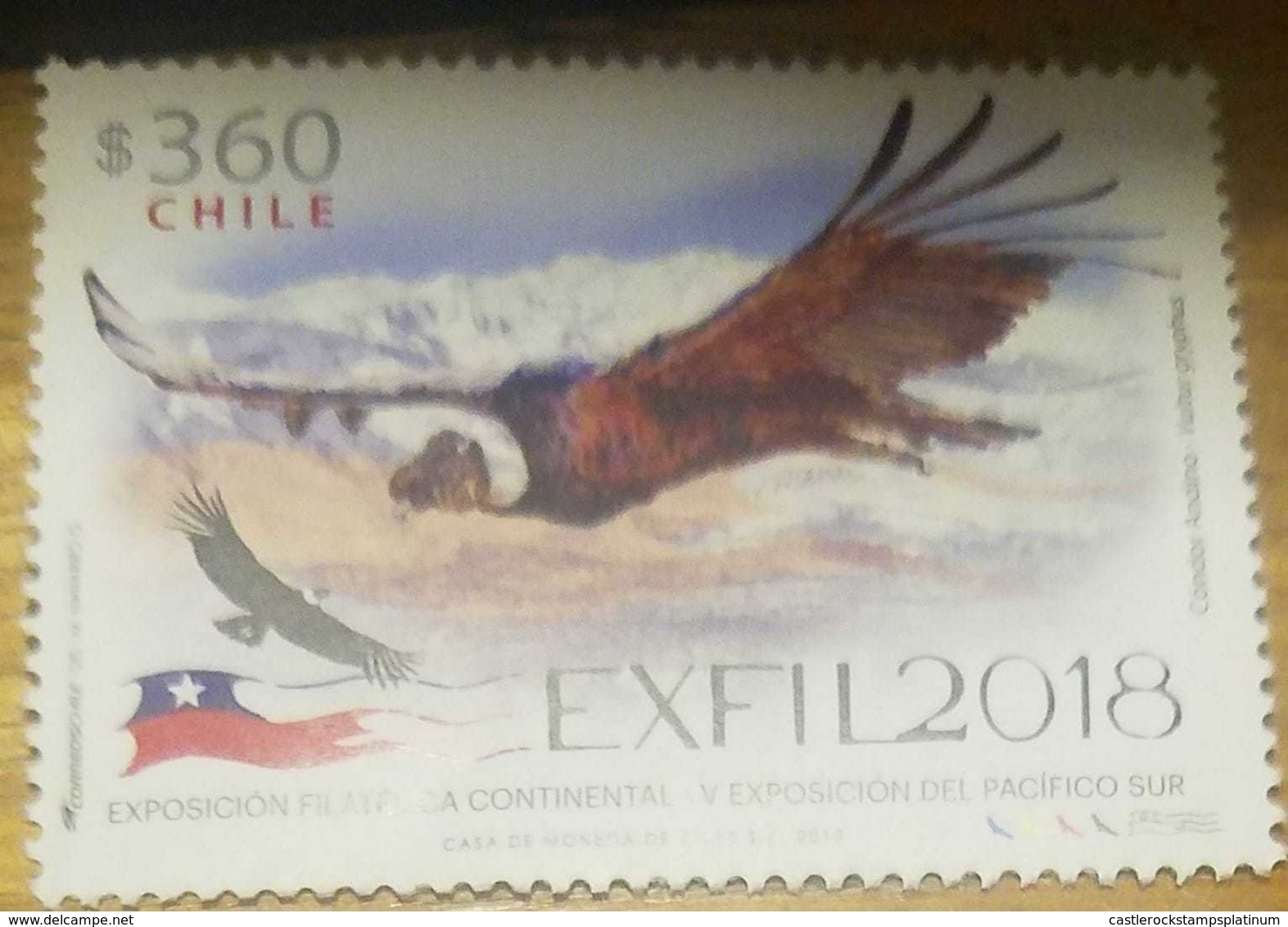 O) 2018 CHILE, BIRD OF PREY - ANDEAN CONDOR-VULTURGRYPHUS-EXFIL 2018-CONTINENTAL PHILATELIC EXHIBITION-V EXHIBITION OF T - Chile