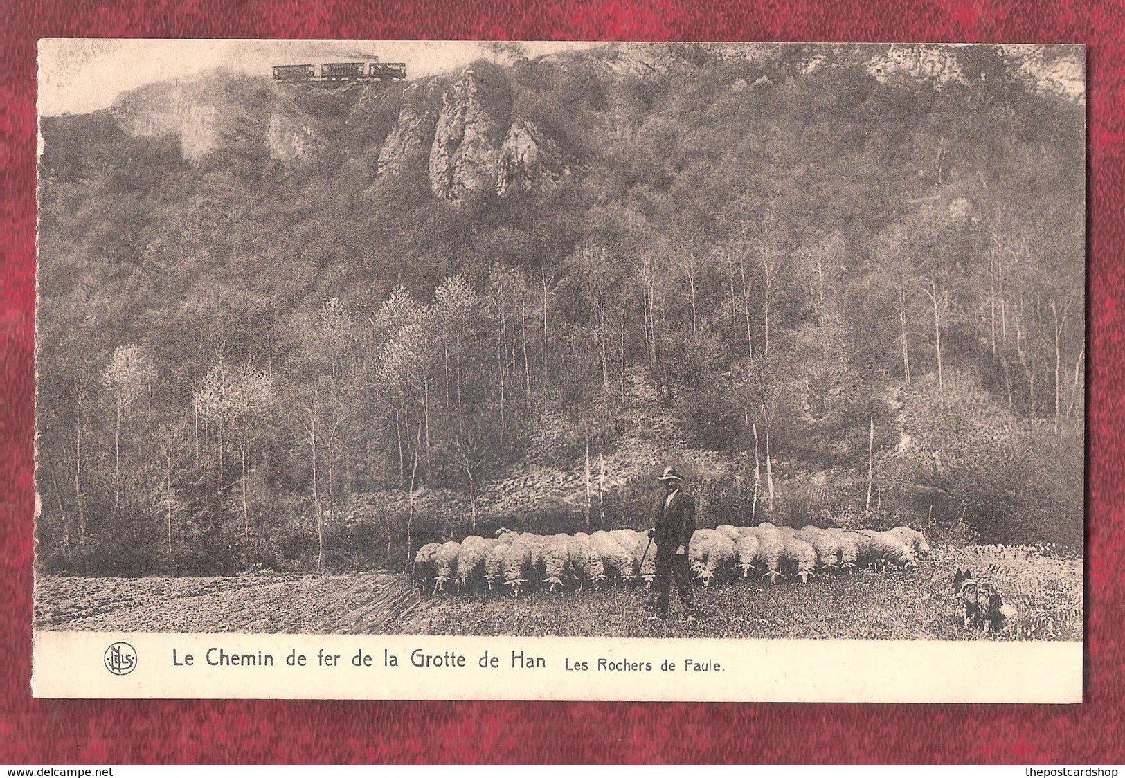 LE CHEMIN DE FER DE LA GROTTE DE HAN LES ROCHERS DE FAULE NELS UNUSED - Rochefort