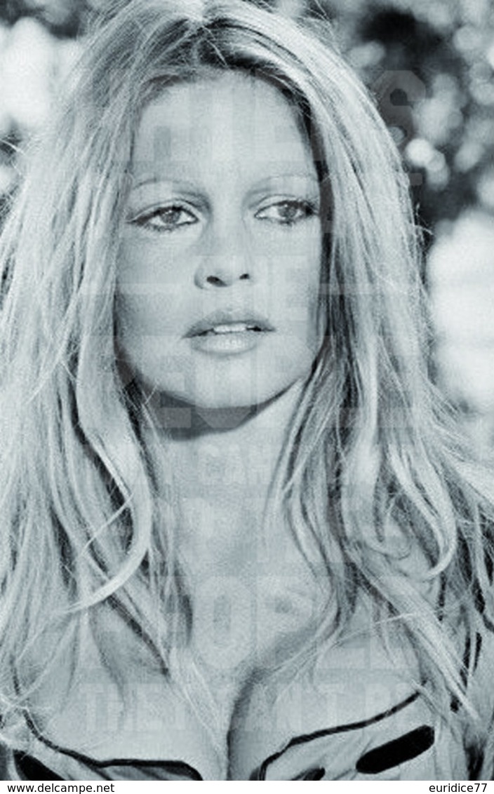 BRIGITTE BARDOT NEW -29 FOTO POTCARD - Mujeres Famosas