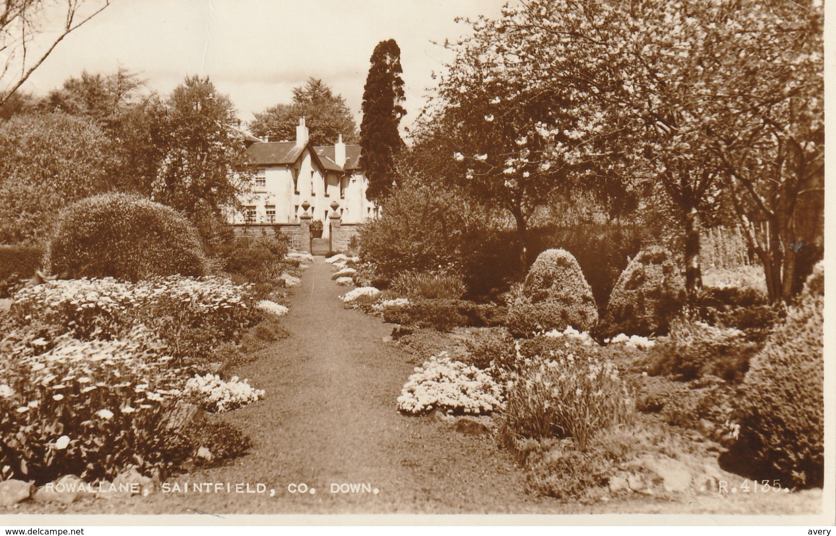 Rowal Lane, Saint Field, Co. Down, Northern Ireland Real Photograph Post Card - Down