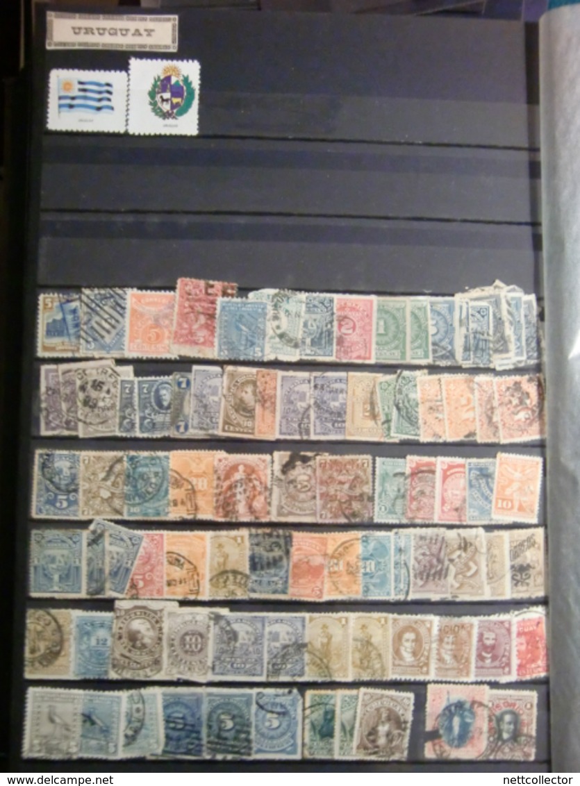 TB COLLECTION AMERIQUE DU SUD + 2000 TIMBRES des CLASSIQUES aux MODERNES dans un GROS ALBUM