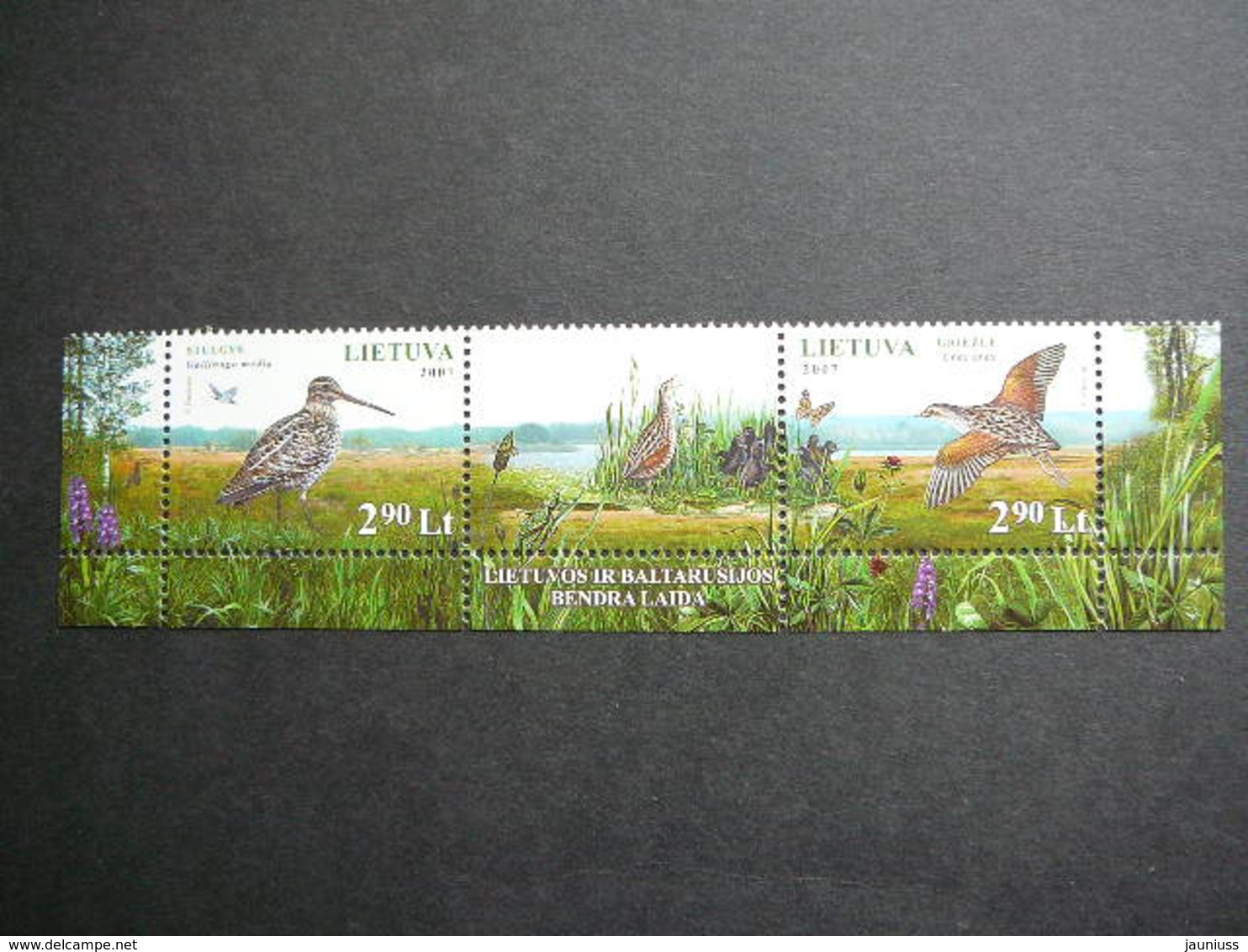 Nature Of The Sanctuaries Of Chepkeliai And Kotra.Birds Lietuva Litauen Lituanie Litouwen Lithuania 2007 MNH #Mi. 949/0 - Lituanie