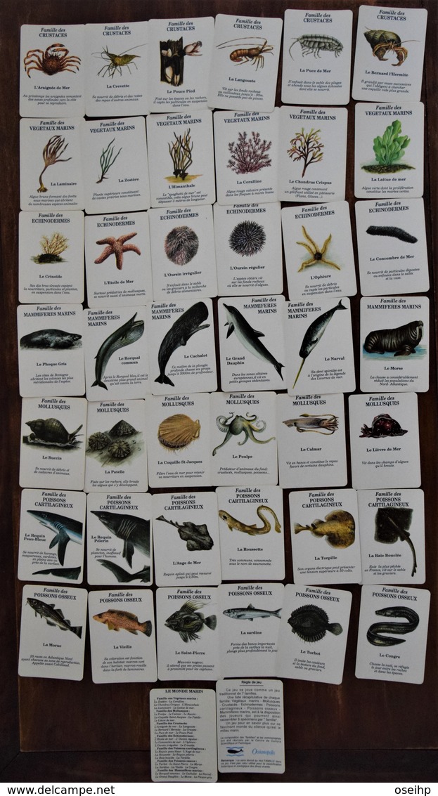 Jeu De Cartes 7 Familles LES MERVEILLES De L'OCEAN Maxicolor Poisson Requin Dauphin Phoque Cachalot Oursin Raie  Carte - Autres & Non Classés