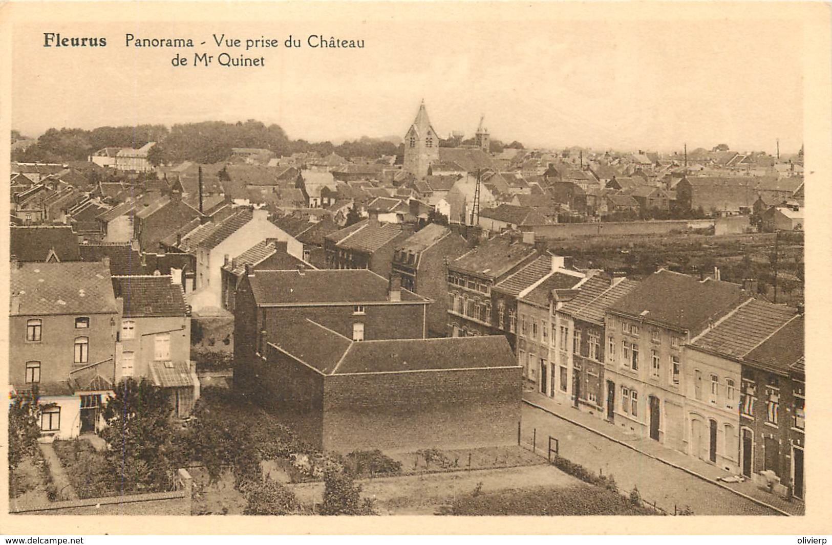 Fleurus - Panorama - Vue Prise De Château De Mr Quinet - Fleurus