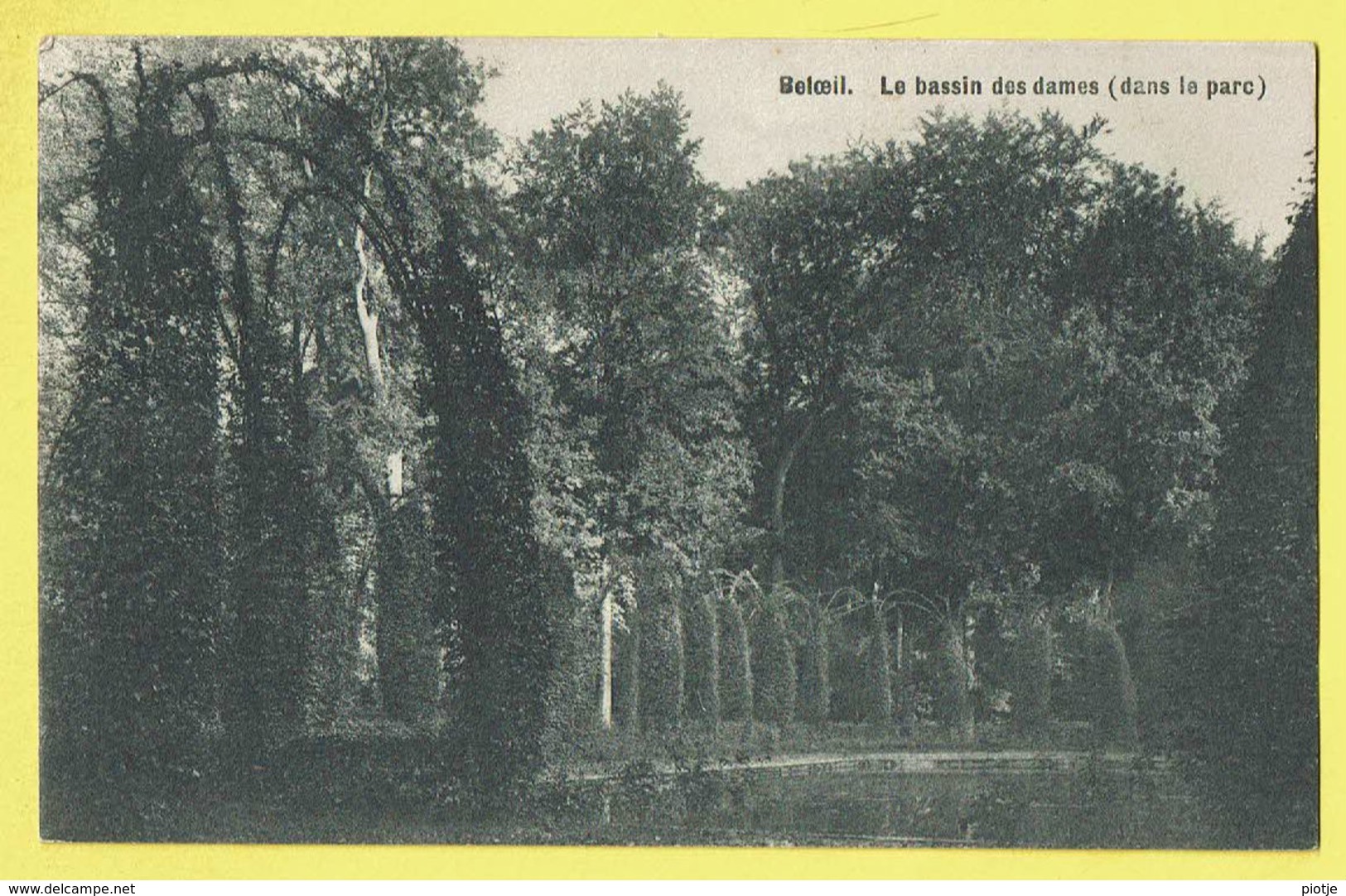 * Beloeil (Hainaut - La Wallonie) * (Imp. Delcourt) Le Bassin Des Dames, Dans Le Parc, Park, Rare, Old, étang, Vijver - Beloeil