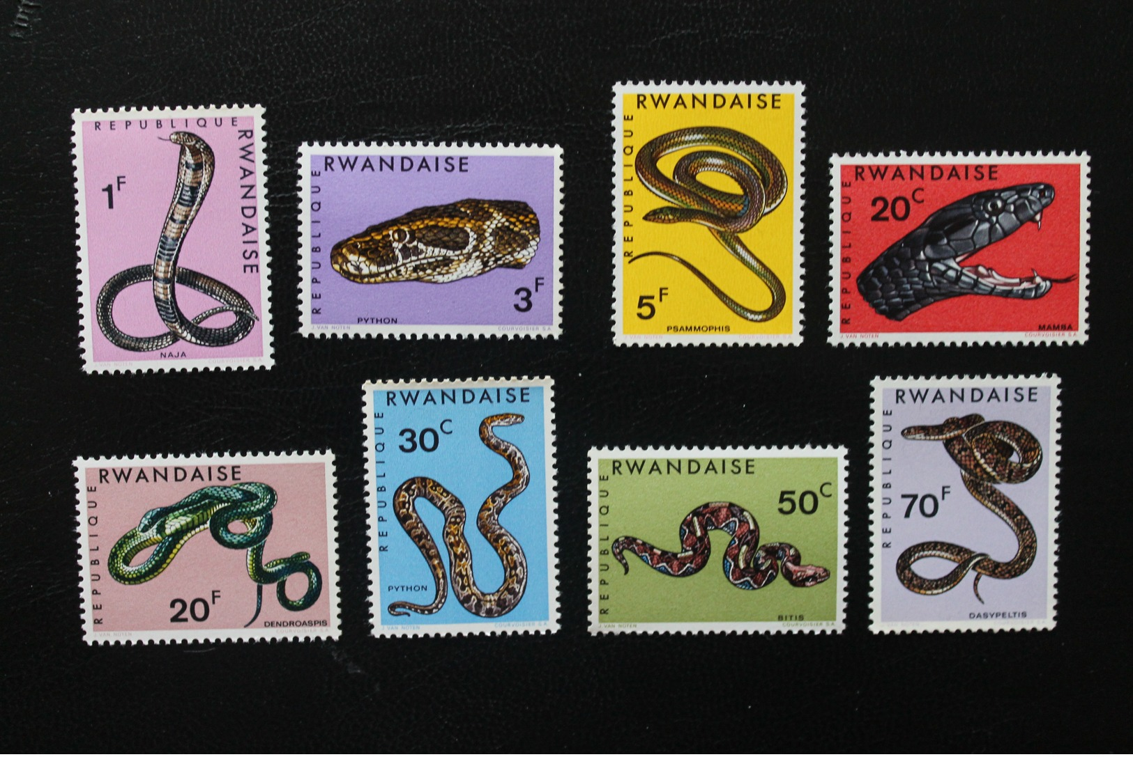 Rwanda. 1967. Fauna. Snakes - Snakes