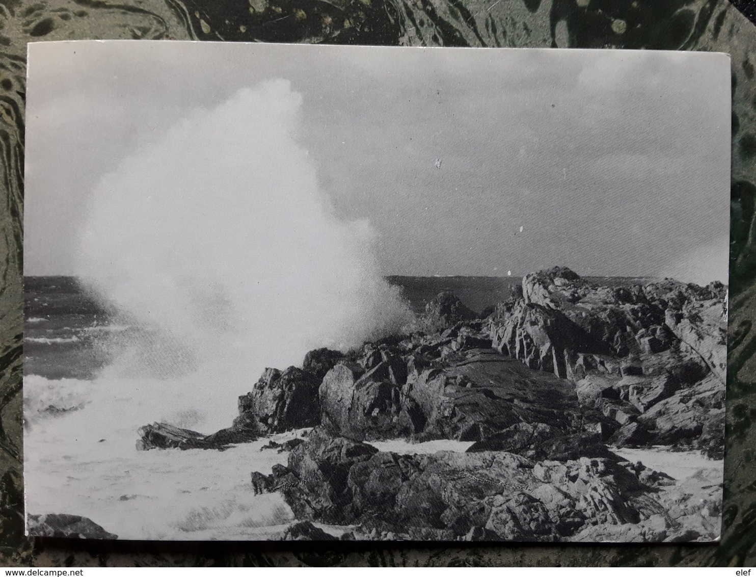 Embruns Sur Les Rochers,  Photo Michel Lambart, Association " Le Vent Se Lève " OCTEVILLE, Manche, 1982 Tb - Octeville