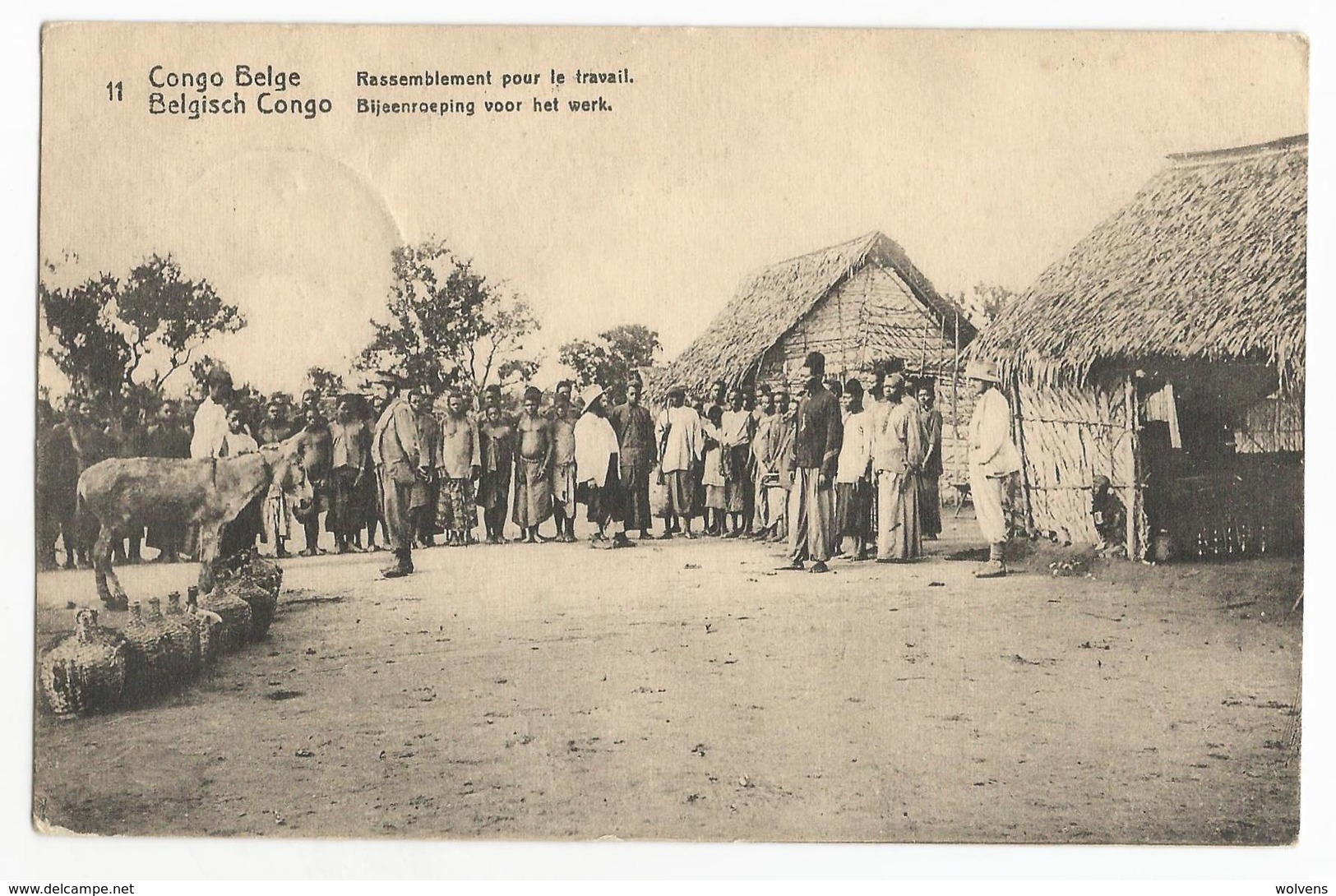 Belgisch Congo Belge Rassemblement Pour Le Travail Carte Postale EP - Congo Belge