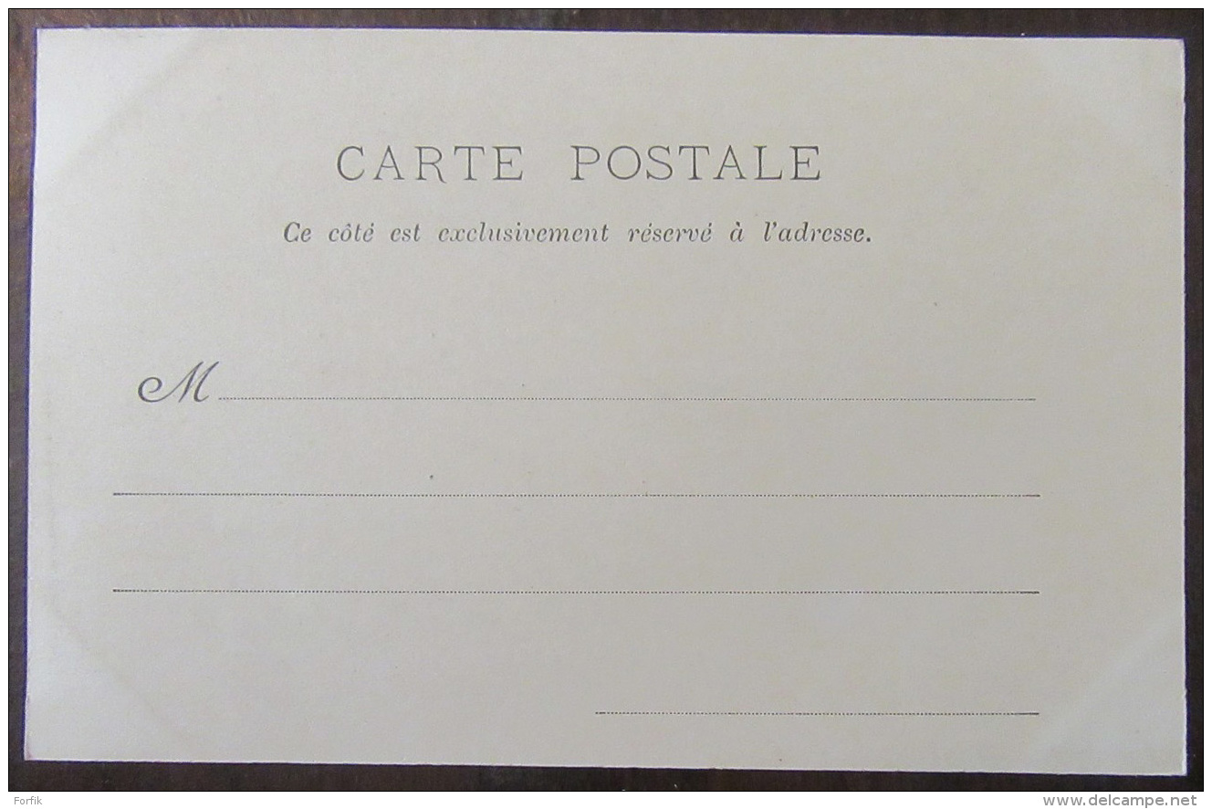 Lunéville - Carte Postale Précurseur - Le Square - Animée - Non-Circulée - Luneville