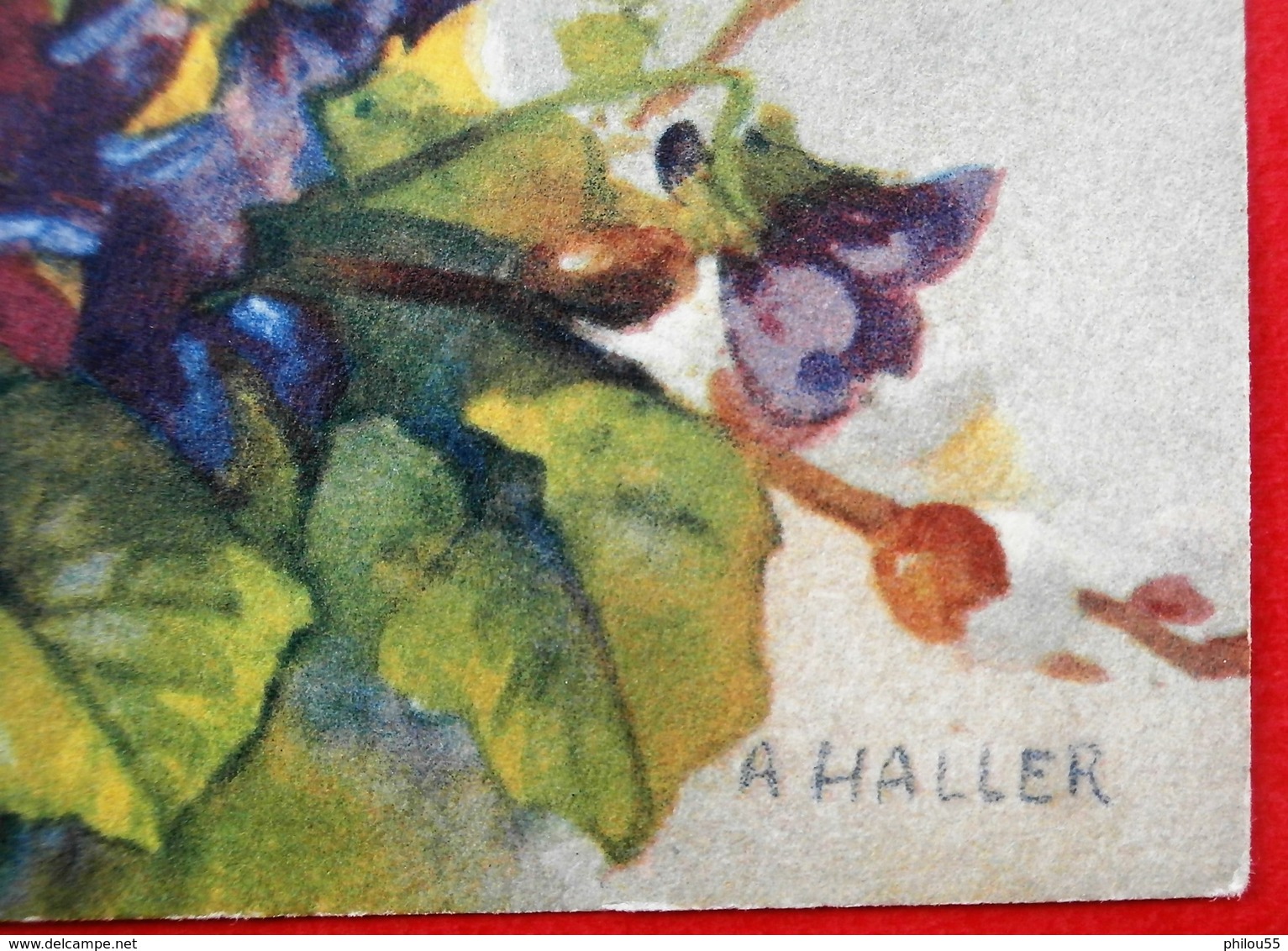 Cpa  Fleurs PUB Zurich Berne CHOCOLAT LINDT & SPRUNGLI Illustrateur - Haller, A.