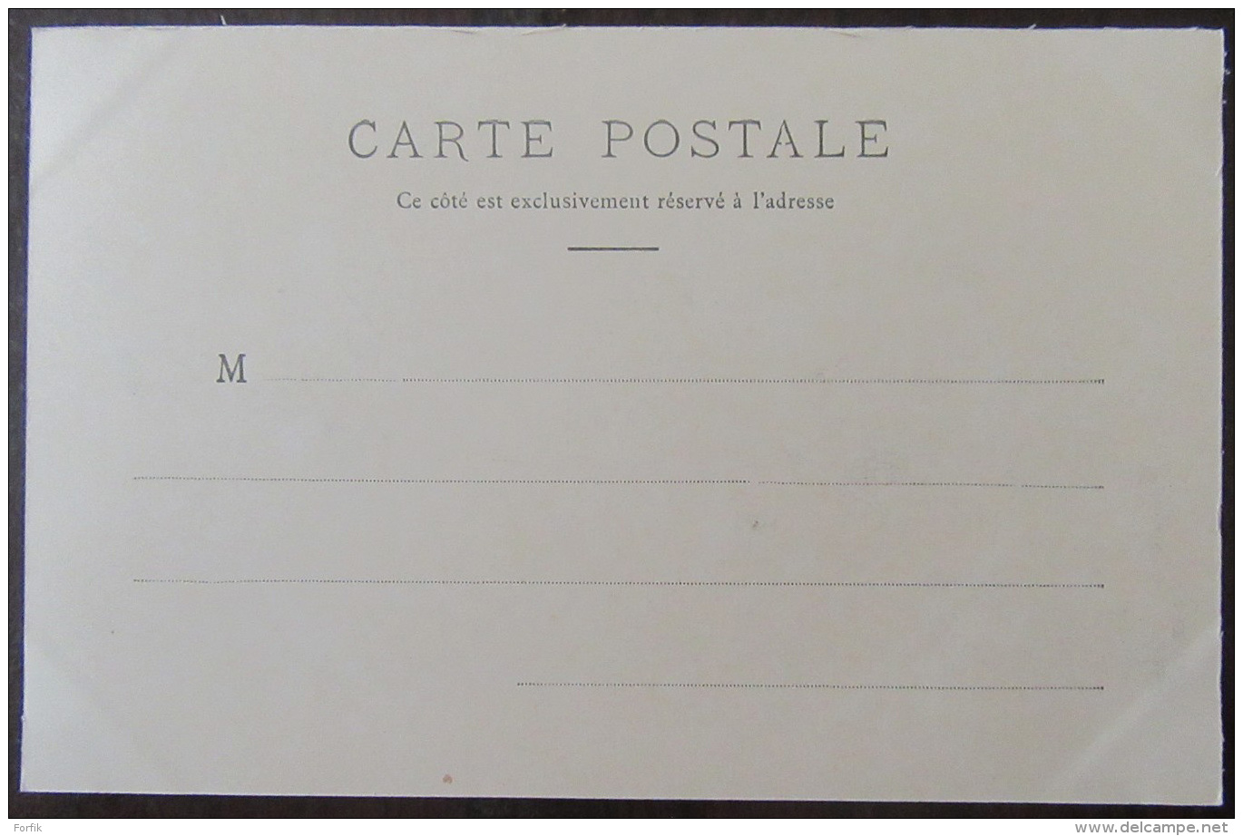Anglure (Marne) - Carte Postale Précurseur - Le Moulin - Non-Circulée - Anglure