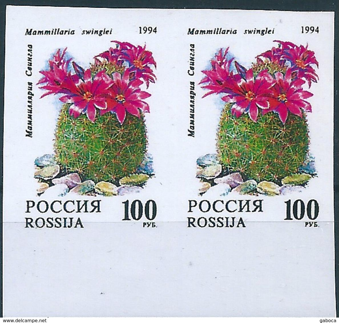 B3825 Russia Rossija Flora Cactus Flower Plant Pair Colour Proof - Variedades & Curiosidades