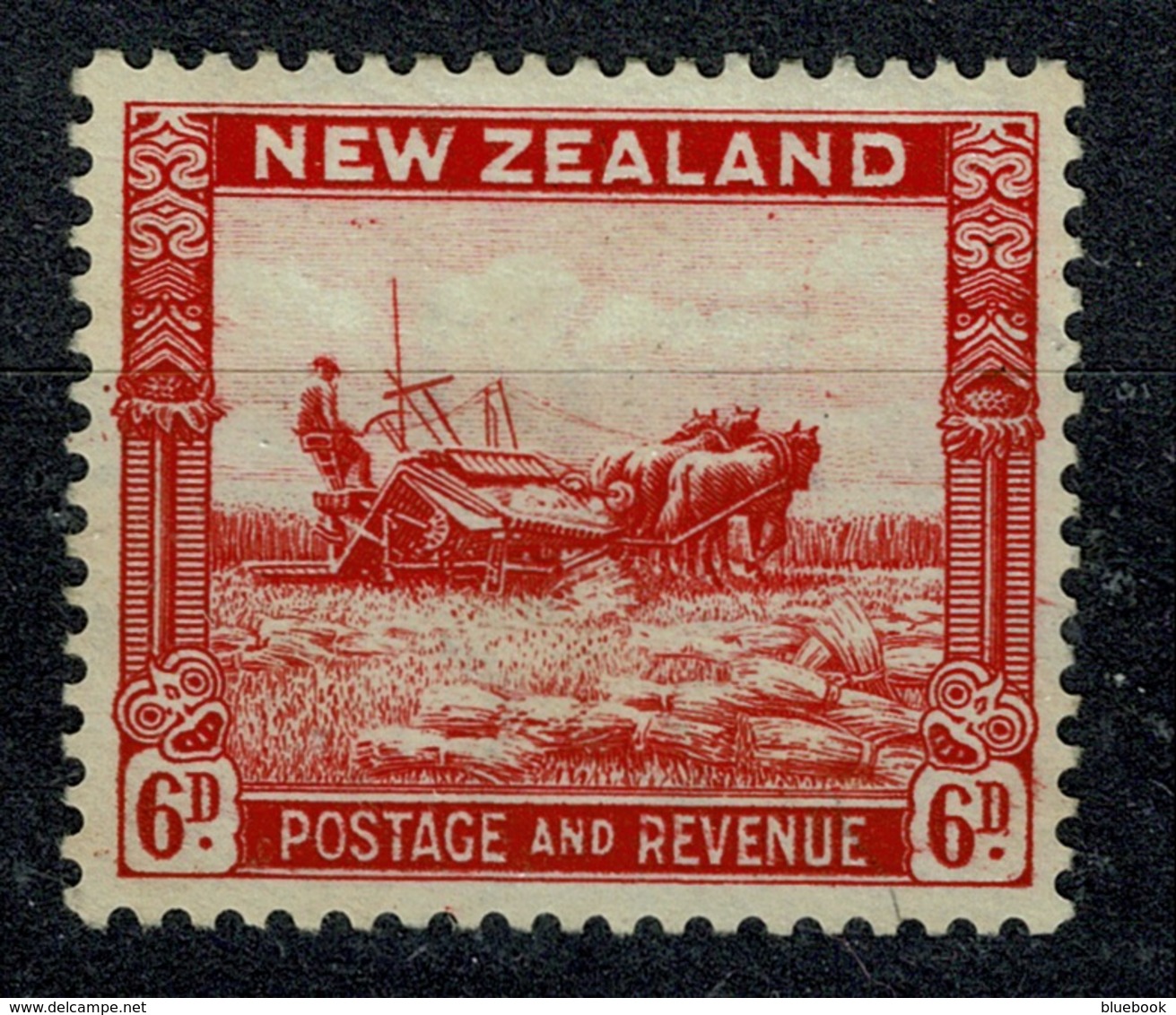 Ref 1234 - 1936 New Zealand 6d KGV Mint Stamp - SG 585 Perf 13.5 X 14 Cat £23 - Ungebraucht