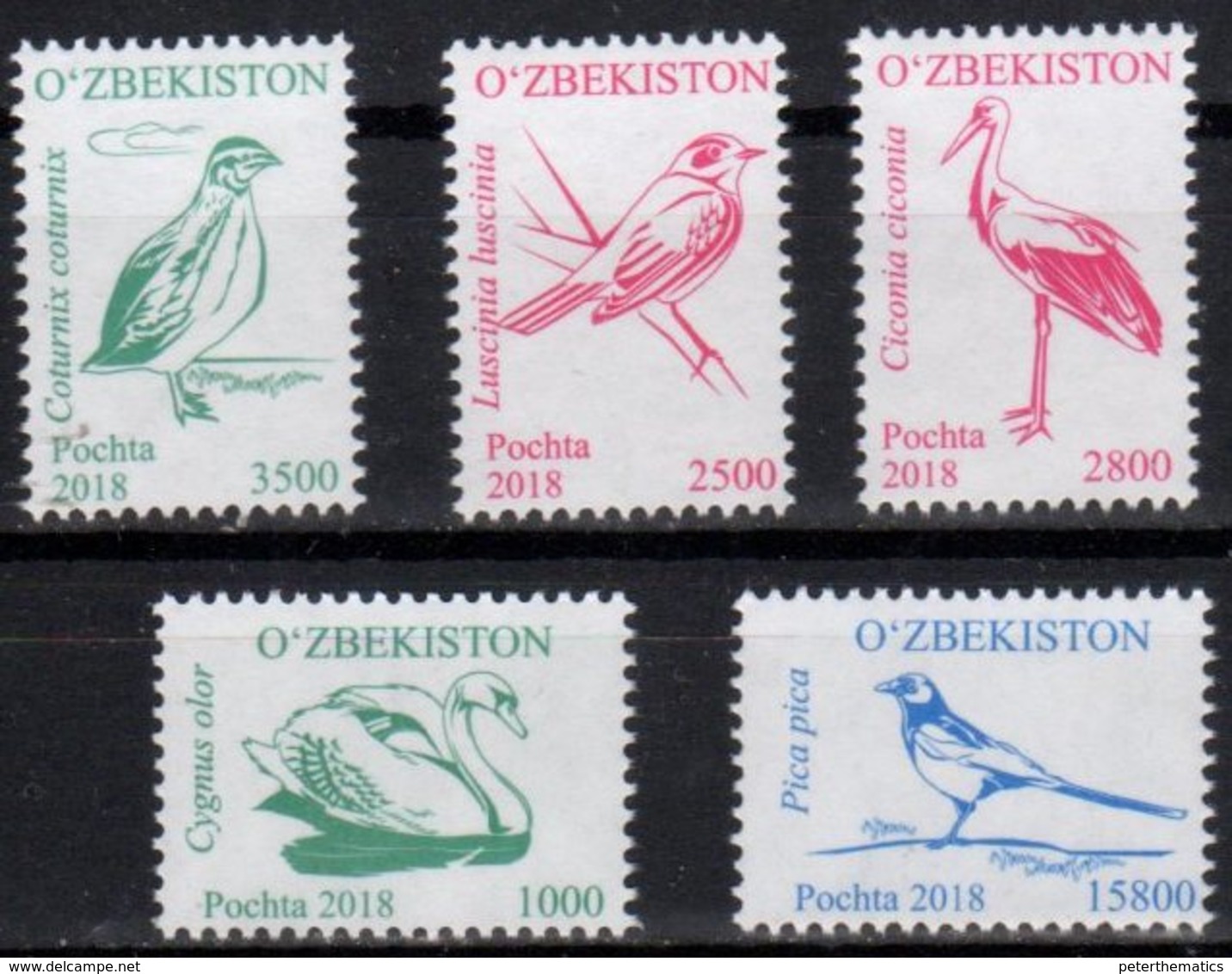 UZBEKISTAN, 2018, MNH, BIRDS,5v, PT. III - Swans