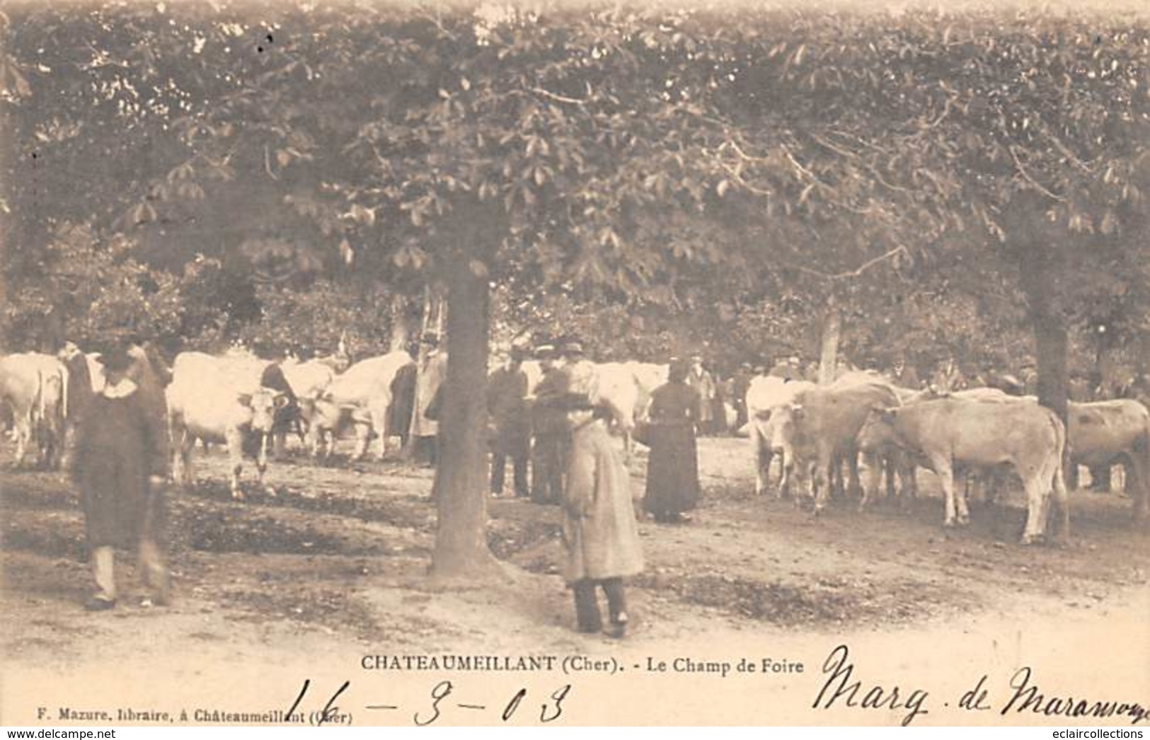 Chateaumeillant        18          Le Champ De Foire . Marché Aux Bestiaux        ( Voir Scan) - Châteaumeillant