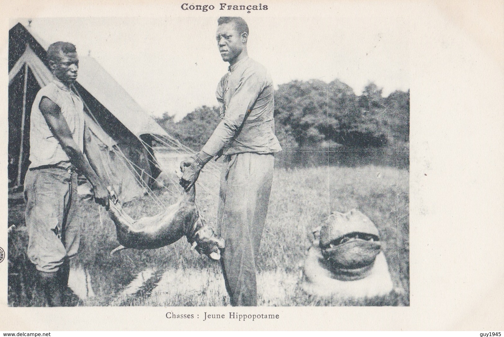 CONGO FRANCAIS   Chasses, Jeune  Hippopotame ( Plan Animé ) - Congo Français