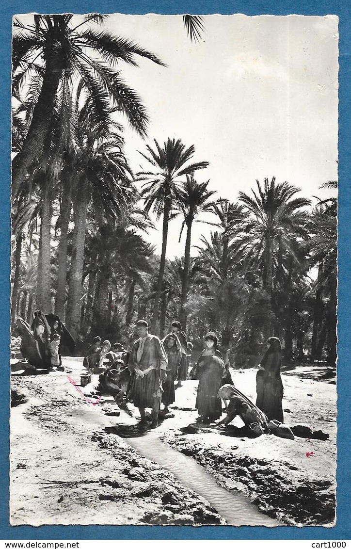 TUNISIE DANS L'OASIS 1959 - Tunisia