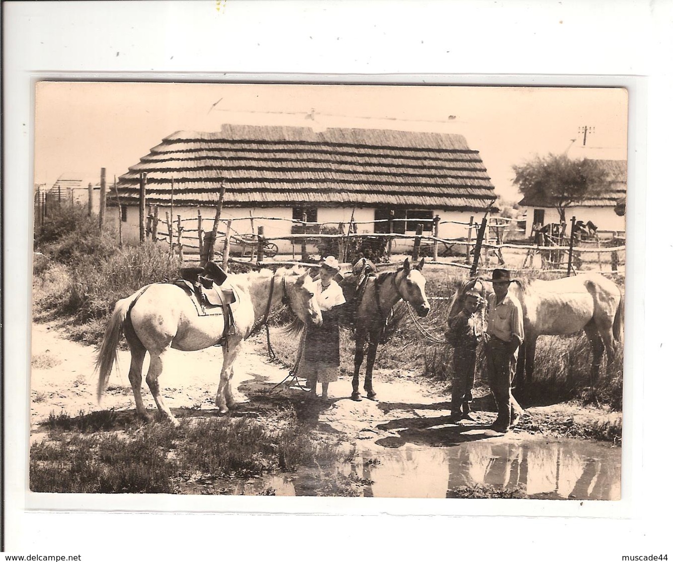 CAMARGUE - GARDIAN ET MIREILLE AU MAS - Autres & Non Classés