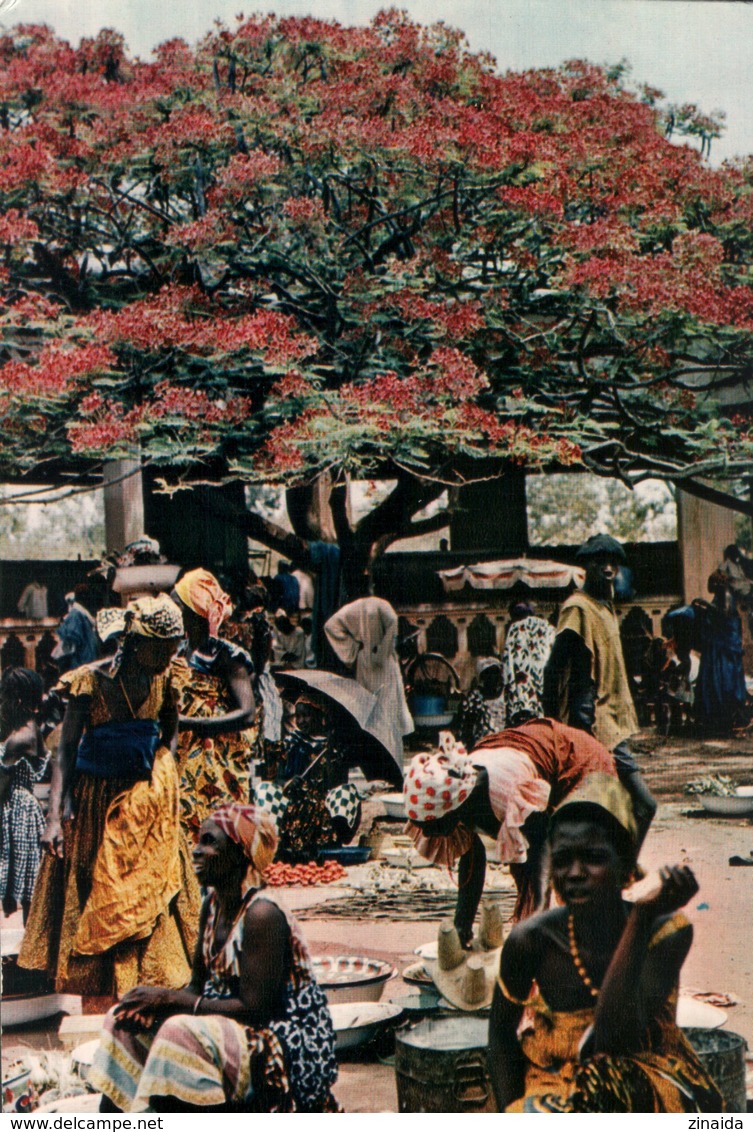 CARTE POSTALE D'AFRIQUE - MARCHANDES SOUS UN FLAMBOYANT - L'AFRIQUE EN COULEURS - Non Classificati