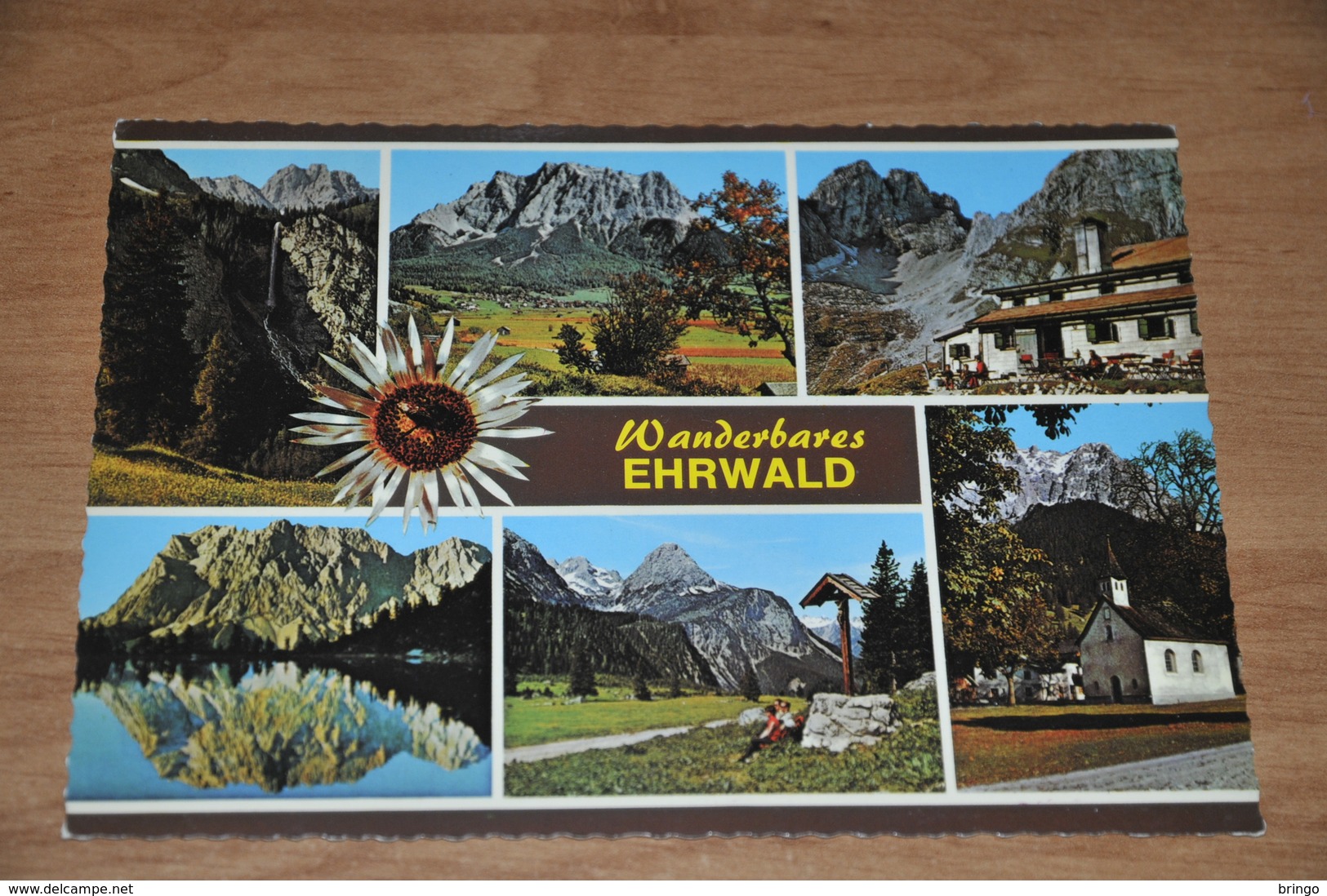 5250- EHRWALD - Ehrwald