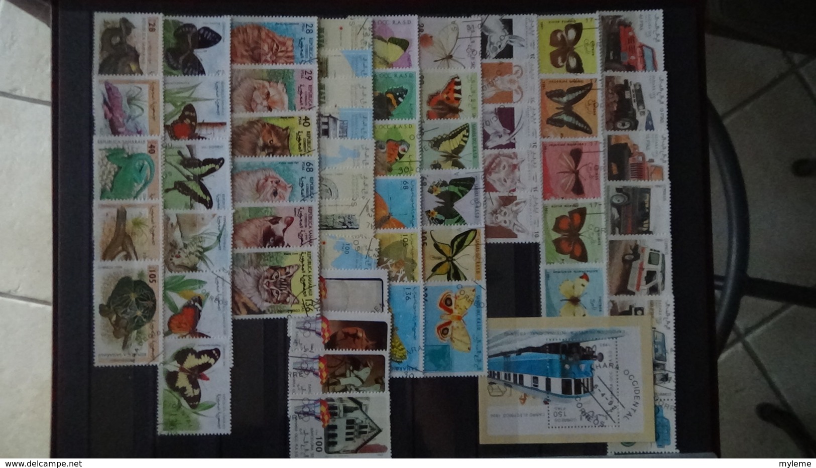 Collection Du Sahara Occidental En Timbres Et Blocs. Pas Commun Et Très Sympa !!! - Collezioni (in Album)