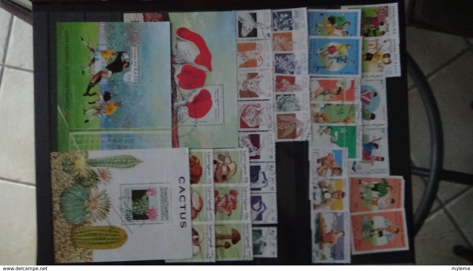 Collection du Sahara Occidental en timbres et blocs. Pas commun et très sympa !!!