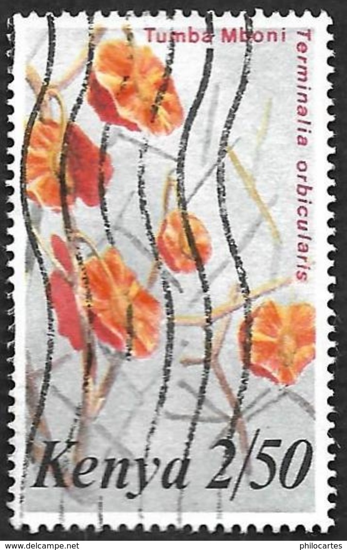 KENYA  1983 -  YT  250 -  Terminalia Orbicularis - Oblitéré - Kenya (1963-...)