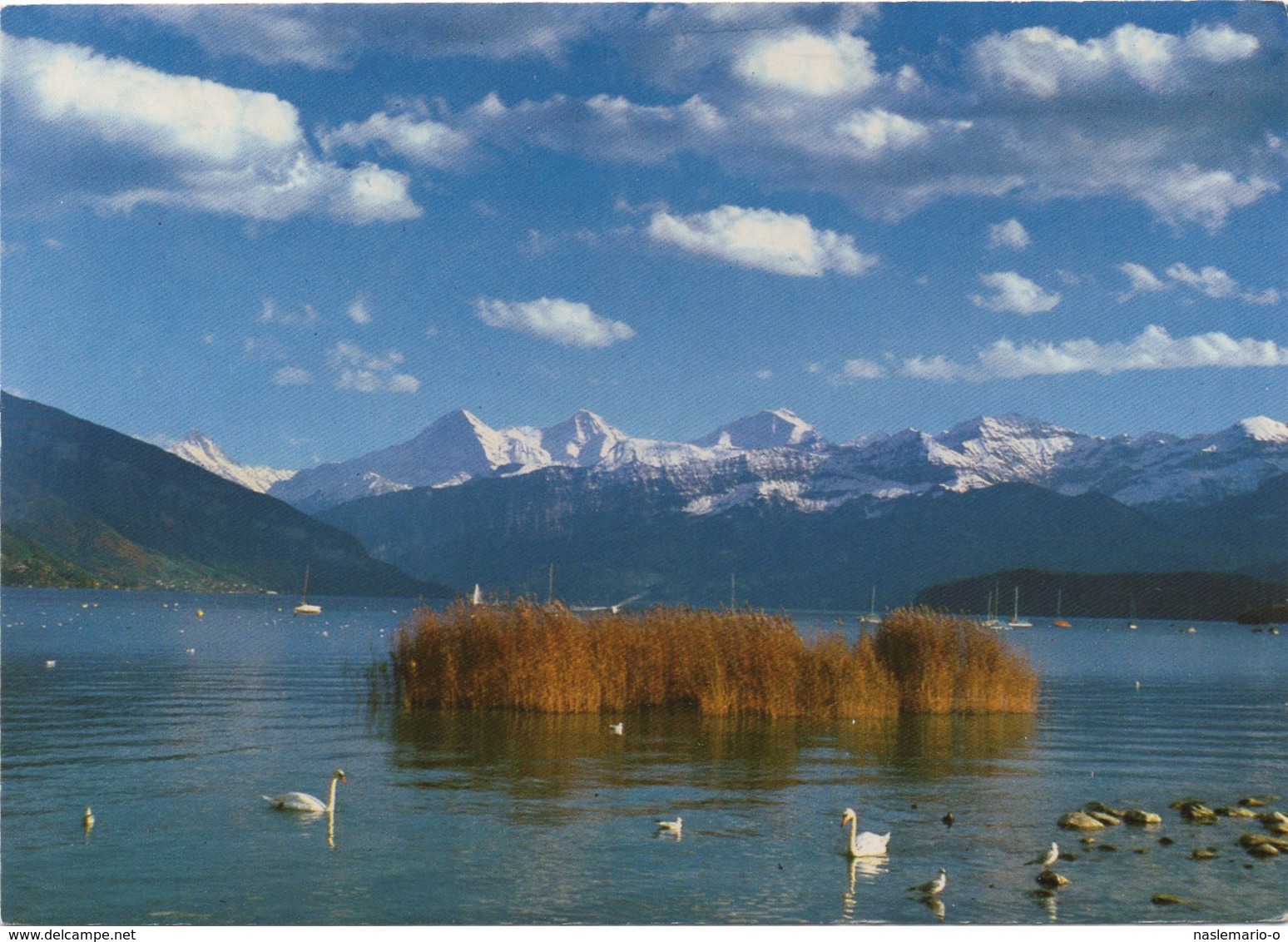 CPSM SUISSE THUNERSEE - Lac De Thoune - Thoune / Thun