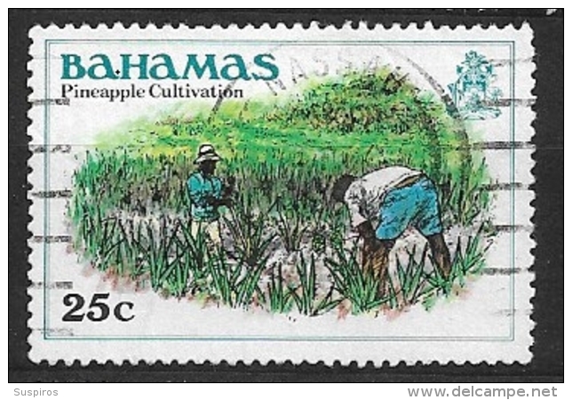 BAHAMAS    1980 History Of The Bahamas    USED  Pineapple Cultivation -Agriculture | People | Plants (Flora) - Bahamas (1973-...)