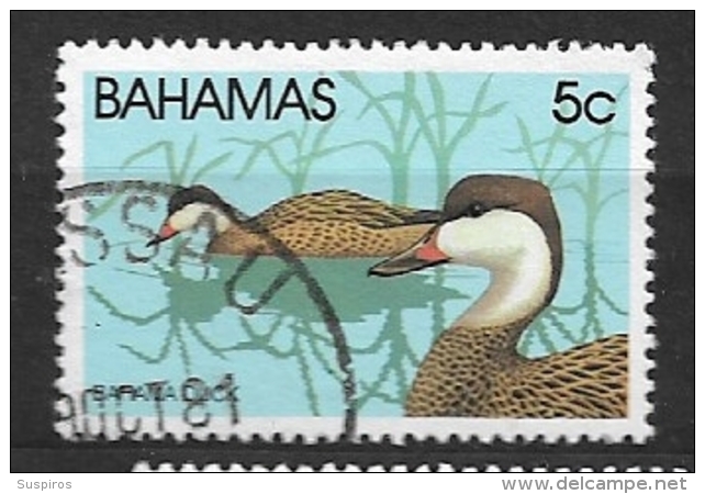 BAHAMAS   -  1981 Wildlife - Birds  USED   Anas Bahamensis White-cheeked Pintail - Bahamas (1973-...)