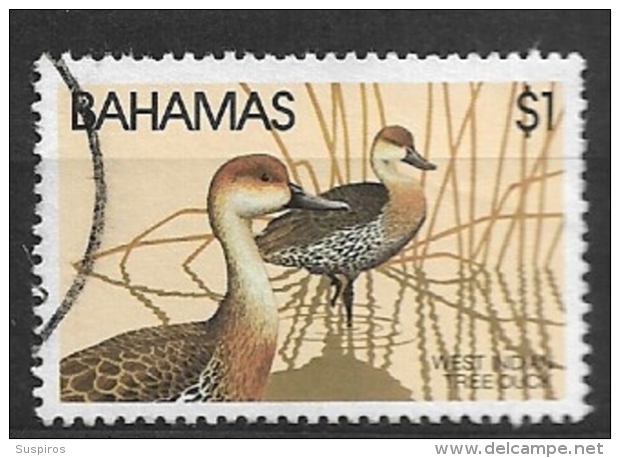 BAHAMAS   -  1981 Wildlife - Birds  USED   The West Indian Whistling Duck (Dendrocygna Arborea) Is A Whistling Duck - Bahamas (1973-...)