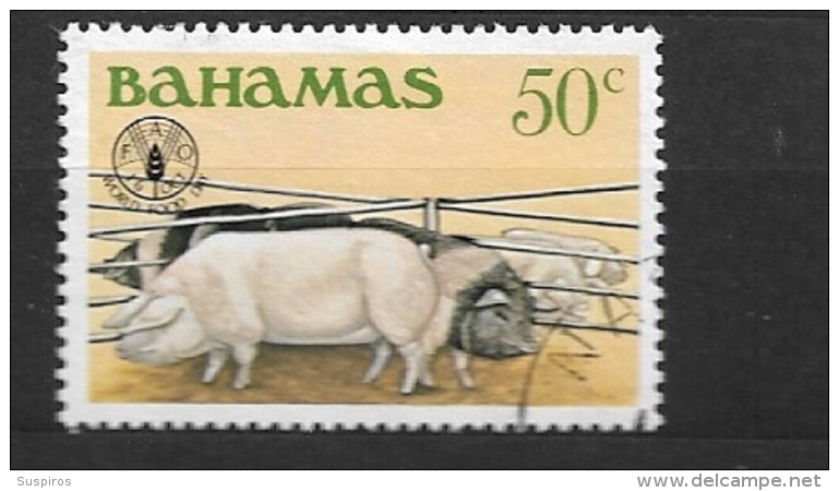 BAHAMAS   - 1981 World Food Day  USED  The Domestic Pig (Sus Scrofa Domesticus Or Only Sus Domesticus), Often Called Swi - Bahamas (1973-...)