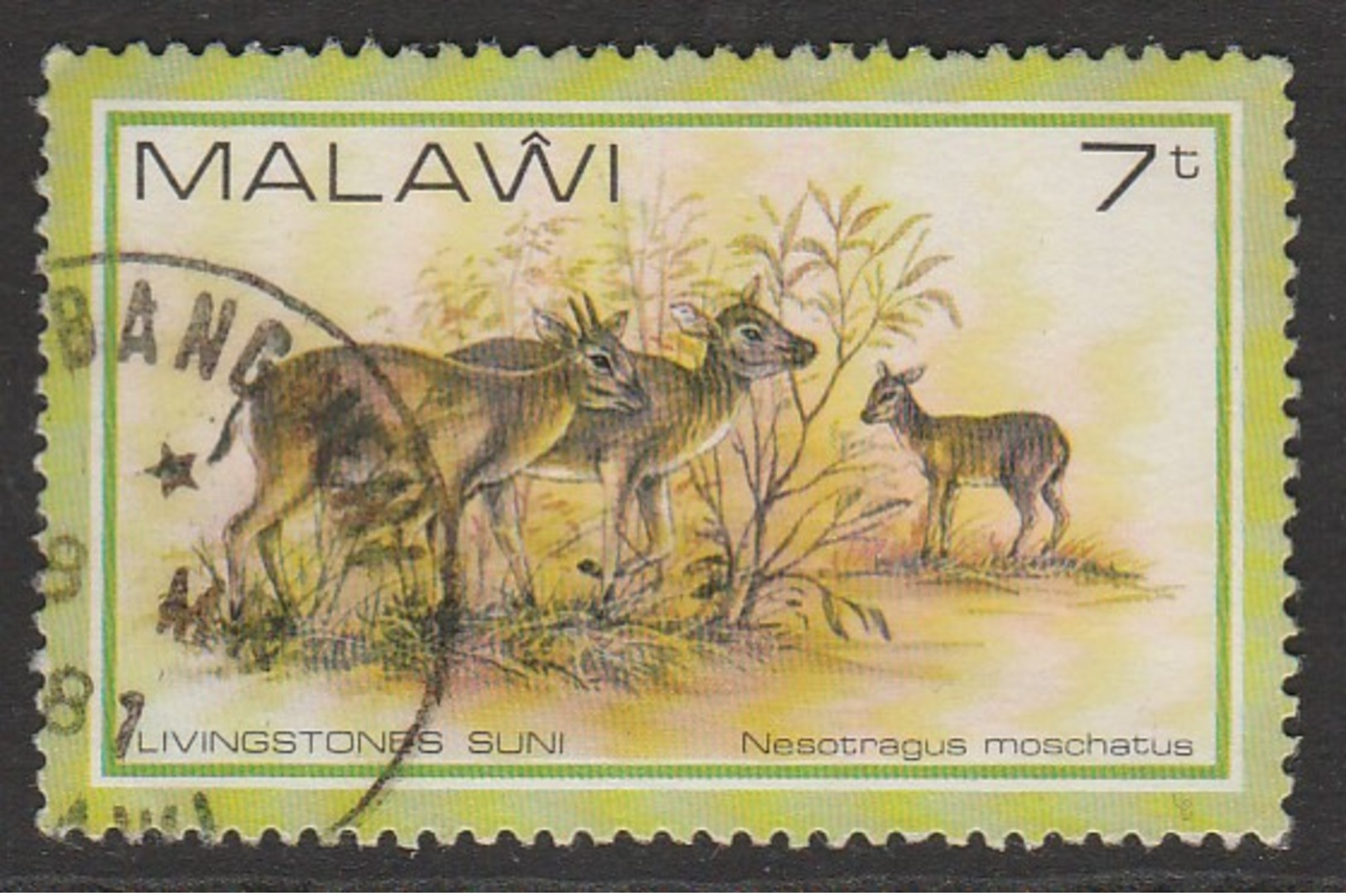 Malawi 1981 Wildlife 7 T Multicoloured SW 356 O Used - Malawi (1964-...)