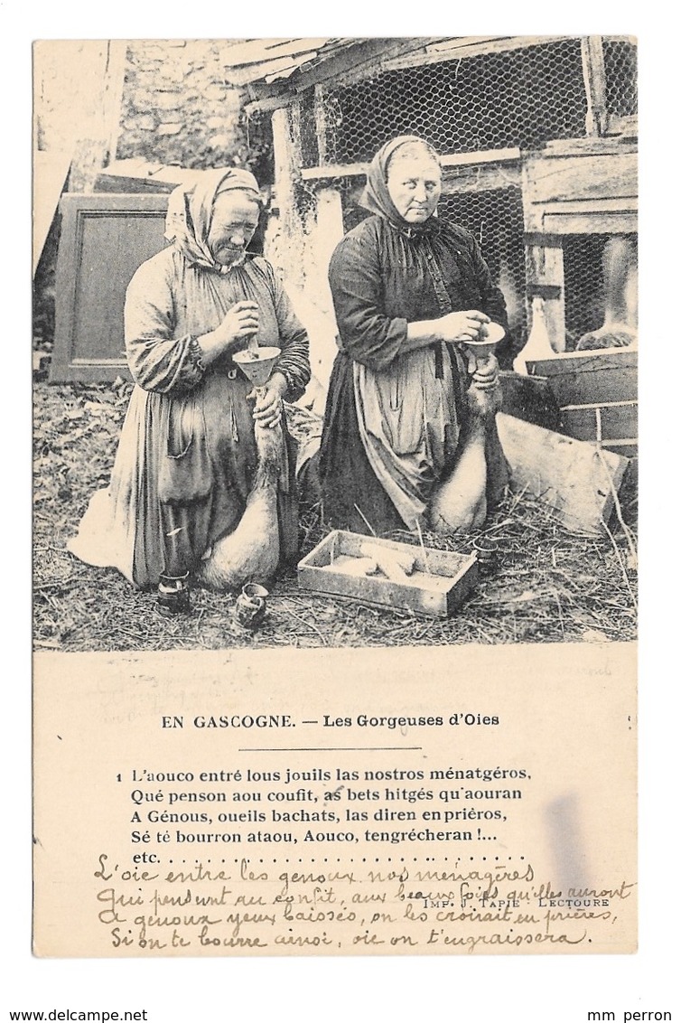 (21656-32) En Gascogne - Les Gorgeuses D'Oies - Autres & Non Classés