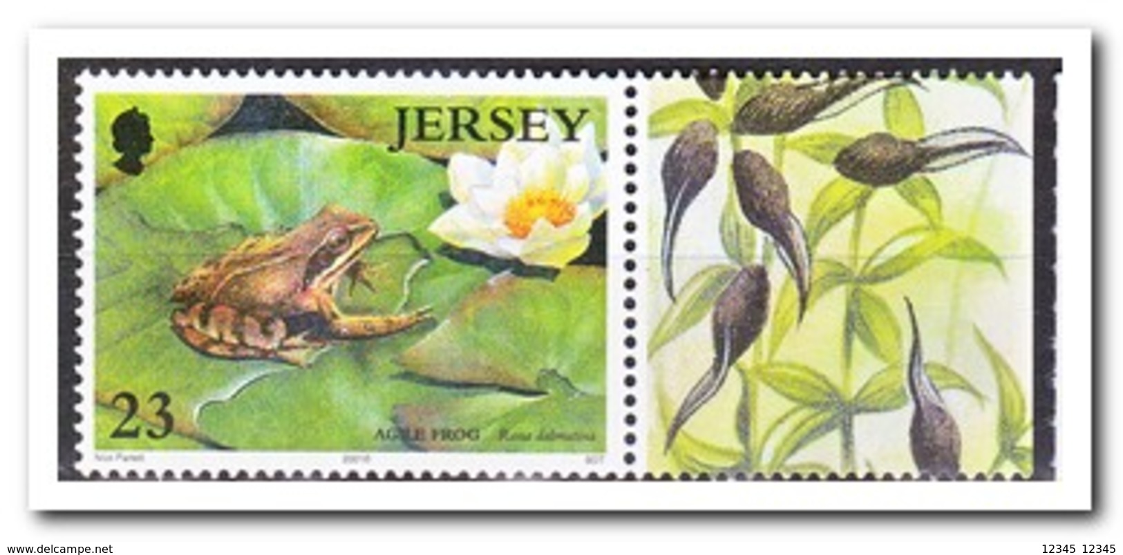 Jersey 1999, Postfris MNH, Flowers, Frog - Jersey