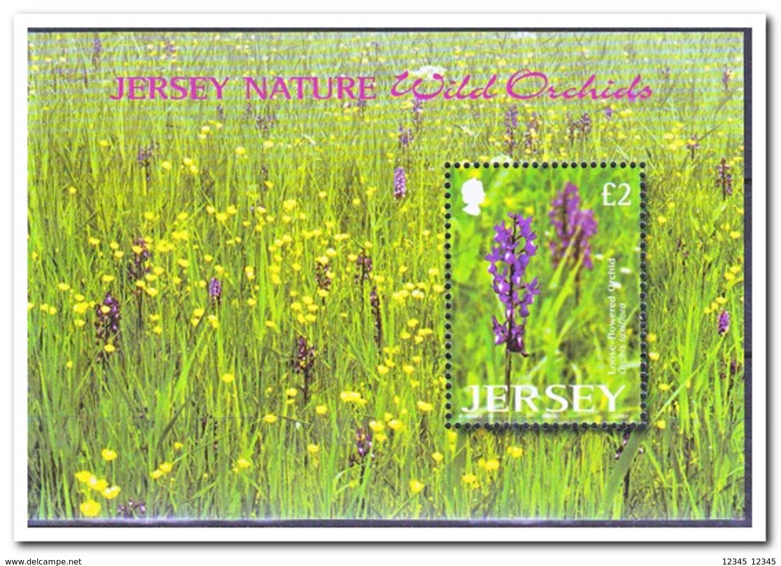 Jersey 2003, Postfris MNH, Flowers - Jersey