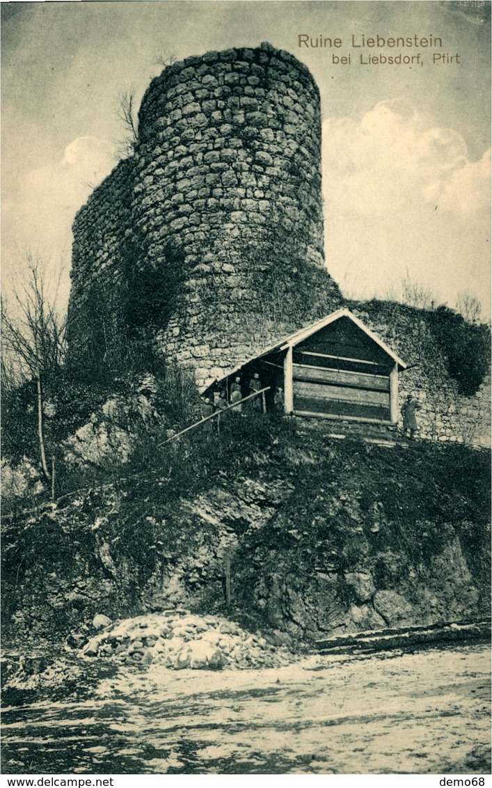 LIBSDORF LIEBSDORF Ruine Du Liebenstein - Altri & Non Classificati